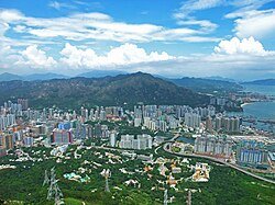 Tuen Mun doctors